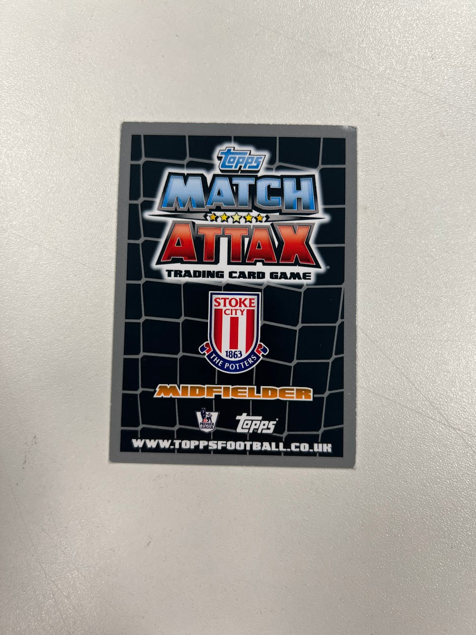 12x Stoke City - Topps Match Attax Football Cards