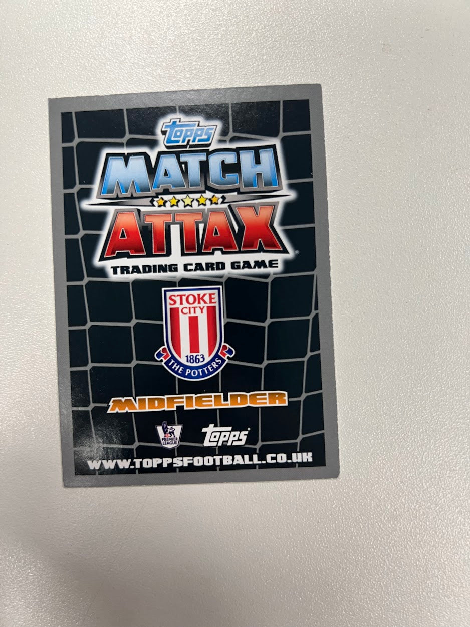 12x Stoke City - Topps Match Attax Football Cards