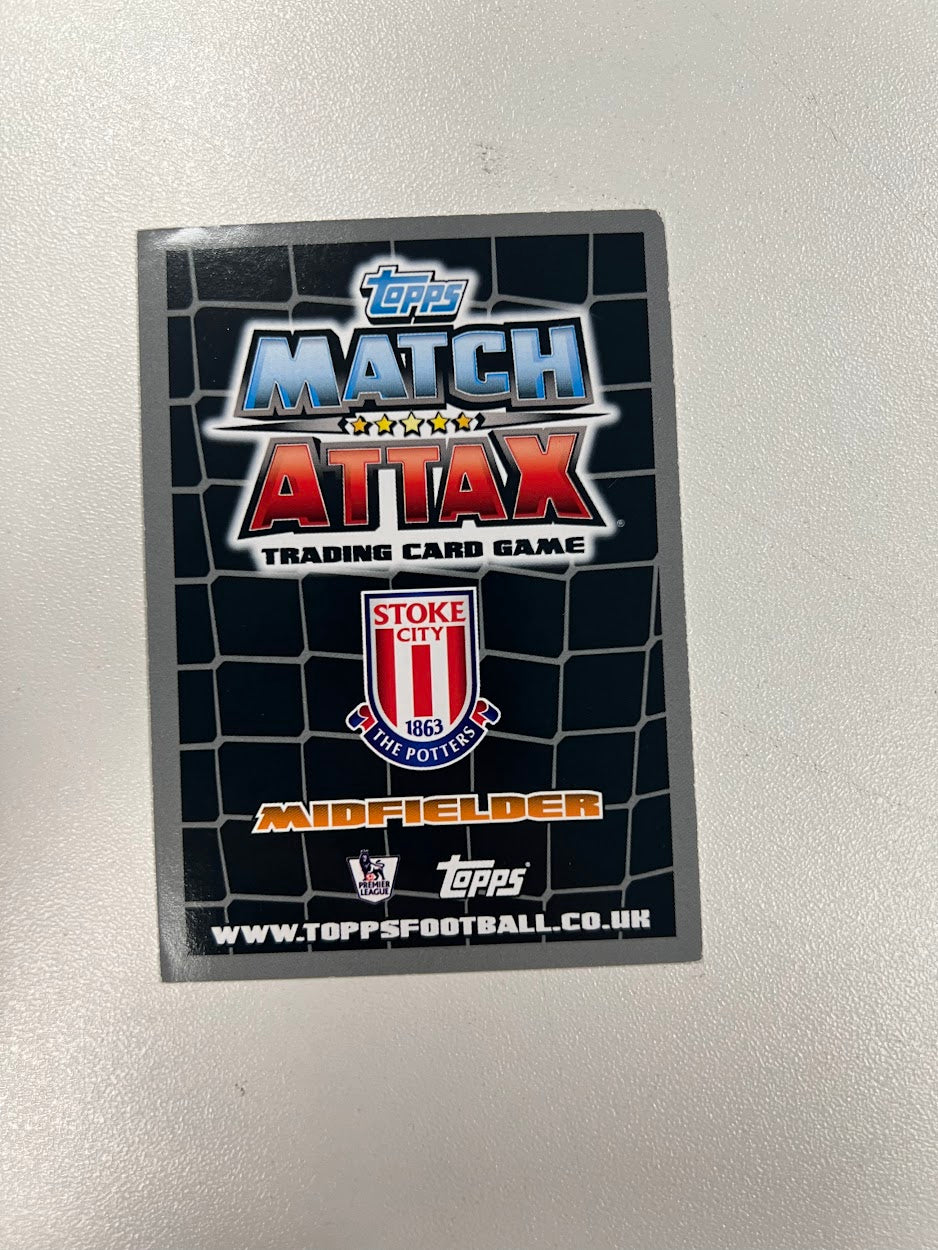 12x Stoke City - Topps Match Attax Football Cards