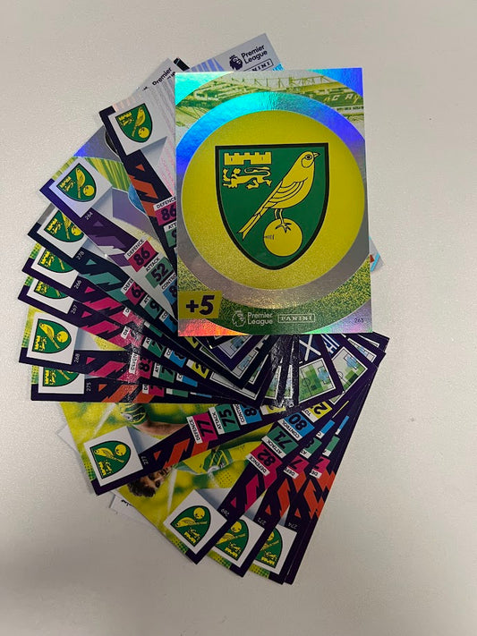 Norwich - Panini Adrenalyn XL Premier League Plus Cards 21/22